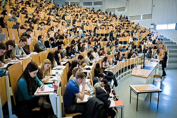 راتب الأستاذ الجامعي في قطر