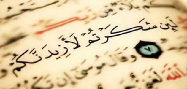 فضل الحمد والشكر