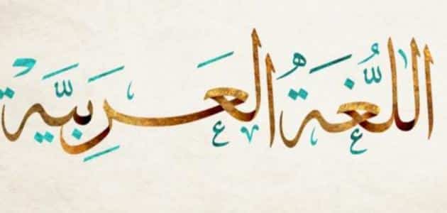 الفرق بين النعت والخبر