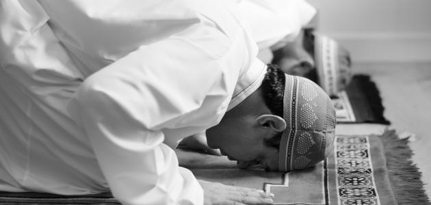 ما الفرق بين صلاة التهجد وقيام الليل في رمضان