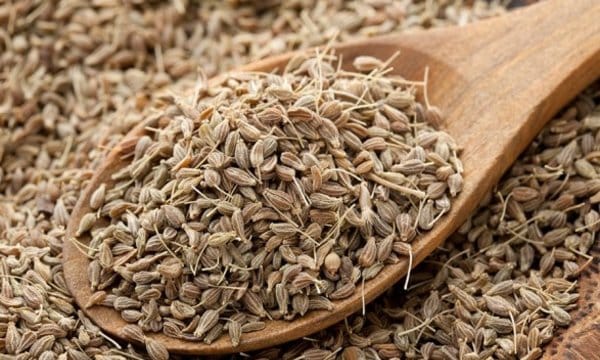 فوائد اليانسون للقولون
