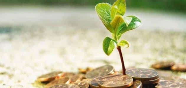 آيات قرآنية عن الزكاة والصدقة