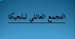 تجربتي مع التجمع العائلي ببلجيكا