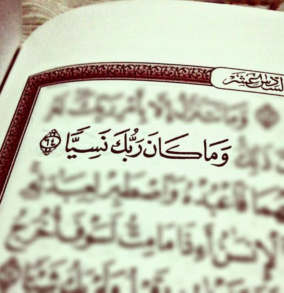 تجربتي مع سورة مريم للحمل