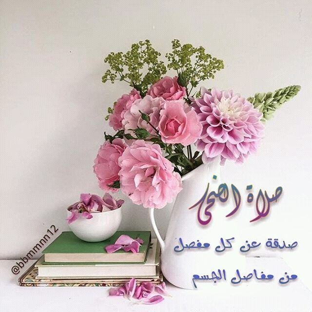 فضل صلاة الضحى