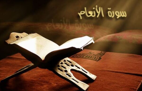 تجربتي مع سورة الأنعام للجمال