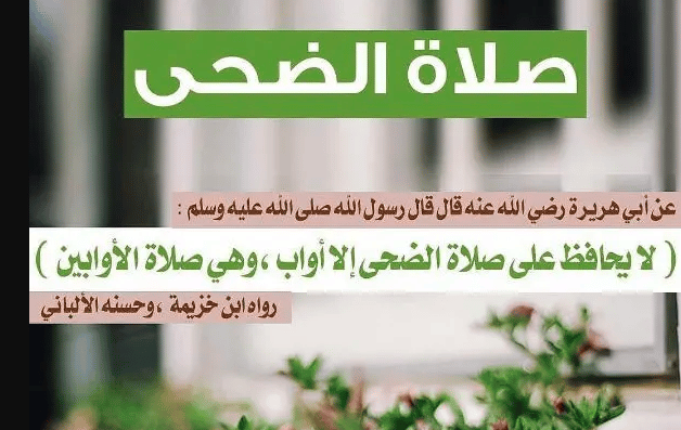 كيفية صلاة الضحى