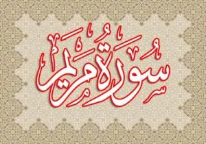 تجربتي مع سورة مريم للحمل