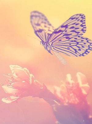 خلفيات ايباد كيوت 4