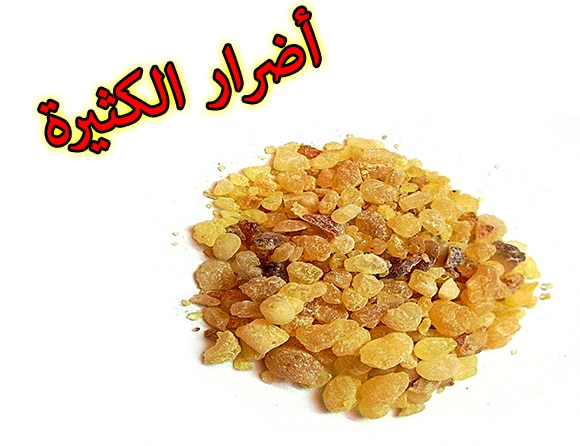 أضرار عقدة الكثيراء للتسمين