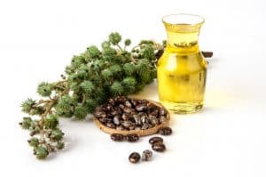 تجاربكم مع زيت الخروع لفتح الرحم