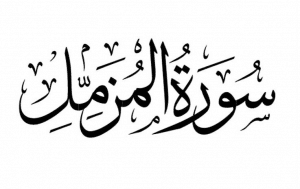 تجاربكم مع سورة المزمل تجاربكم مع سورة المزمل