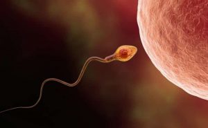 تجاربكم مع علامات فشل تلقيح البويضة