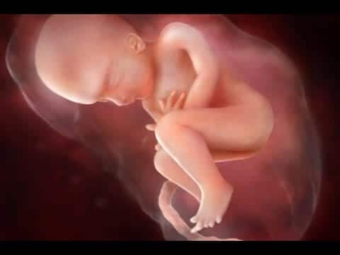 تجاربكم مع علامات الحمل بولد