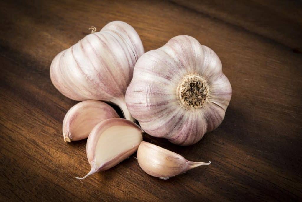 تجاربكم مع الثوم للأطفال