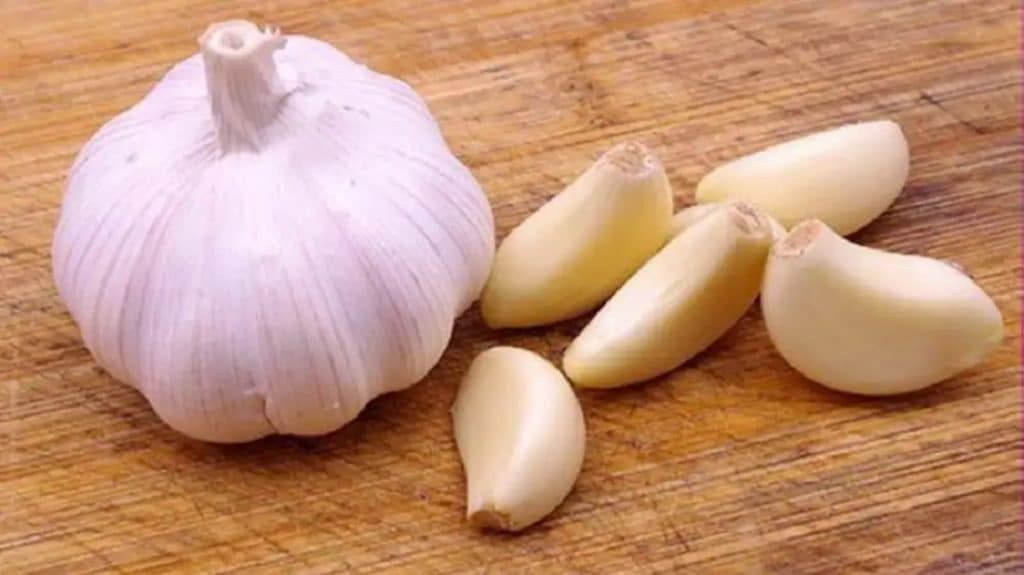 تجاربكم مع الثوم والزبادي