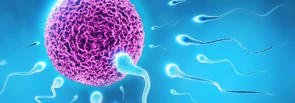 تجاربكم مع علامات تلقيح البويضة بعد الإبرة التفجيرية