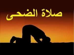 تجاربكم مع صلاة الضحى