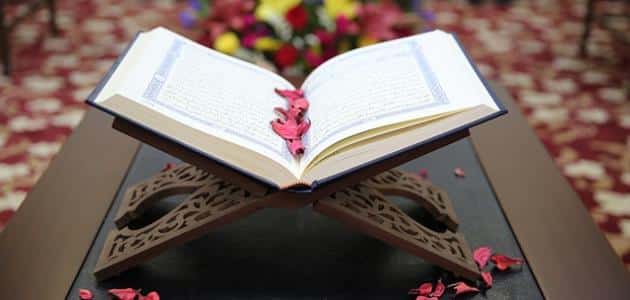 قصة لن نصبر على طعام واحد