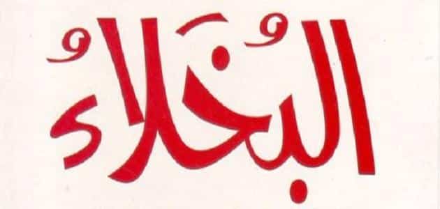تلخيص قصة الجاحظ