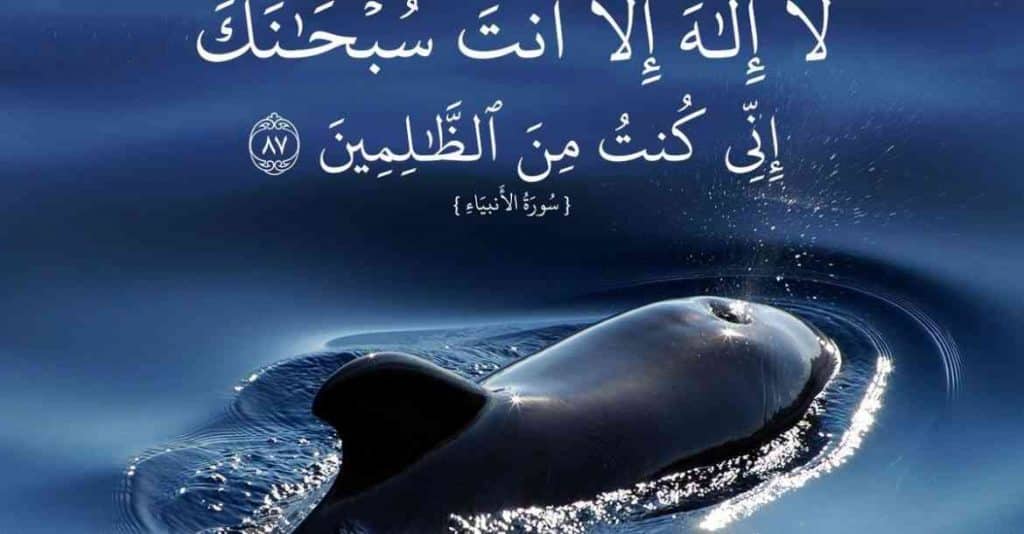 قصص دعاء ذي النون