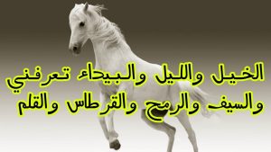 من قائل بيت الشعر الخيل والليل والبيداء تعرفني