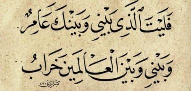 من قائل بيت الشعر ليت الذي بيني وبينك عامر