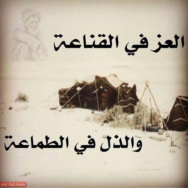 قصة نهاية الطمع