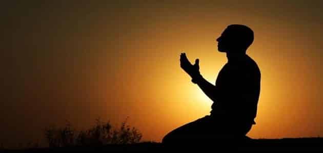 قصص عن رحمة الله بخلقه