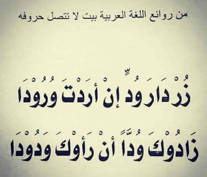 من قائل بيت الشعر زر دار ود