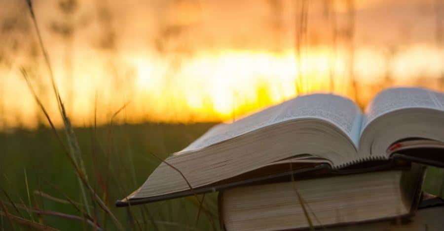 قصة قصيرة عن الحياة