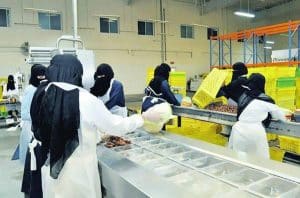 تجاربكم مع وظائف المصانع
