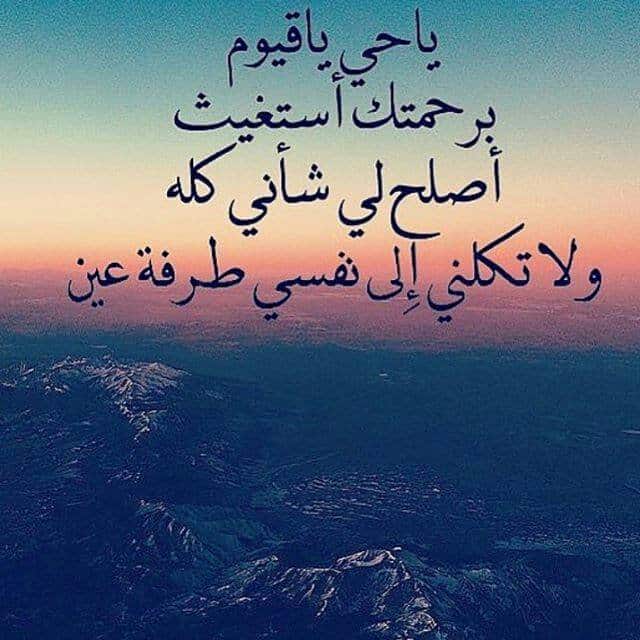 تجاربكم مع ياحي ياقيوم