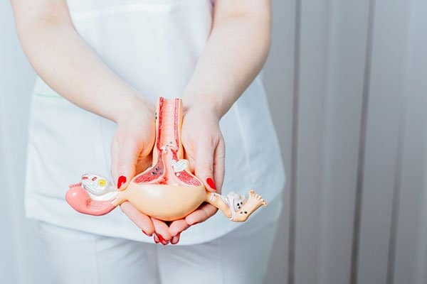 علاج تضخم الرحم بالاعشاب