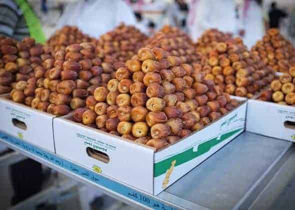 دليل مصانع التمور في السعودية
