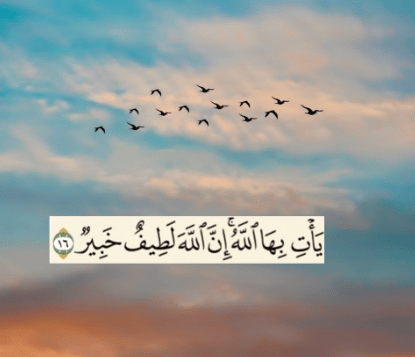 يأتي بها الله إن الله لطيف خبير فضلها