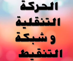 برنامج حساب الحركة التنقلية