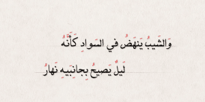 ابيات شعر عن شيب الراس