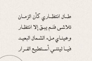 ابيات شعر عن طول الانتظار