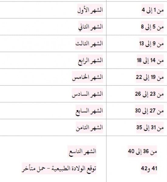 حساب أسابيع الحمل بالصور 2