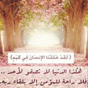 ابيات شعر عن زوال الدنيا