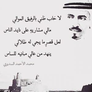 ابيات شعر عن طلب الفزعه