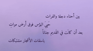 ابيات شعر عن دجلة