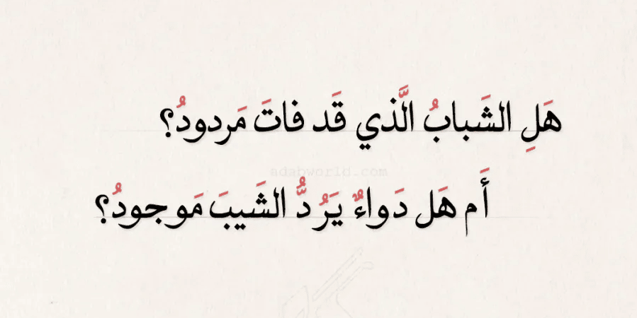 ابيات شعر عن شيب الراس