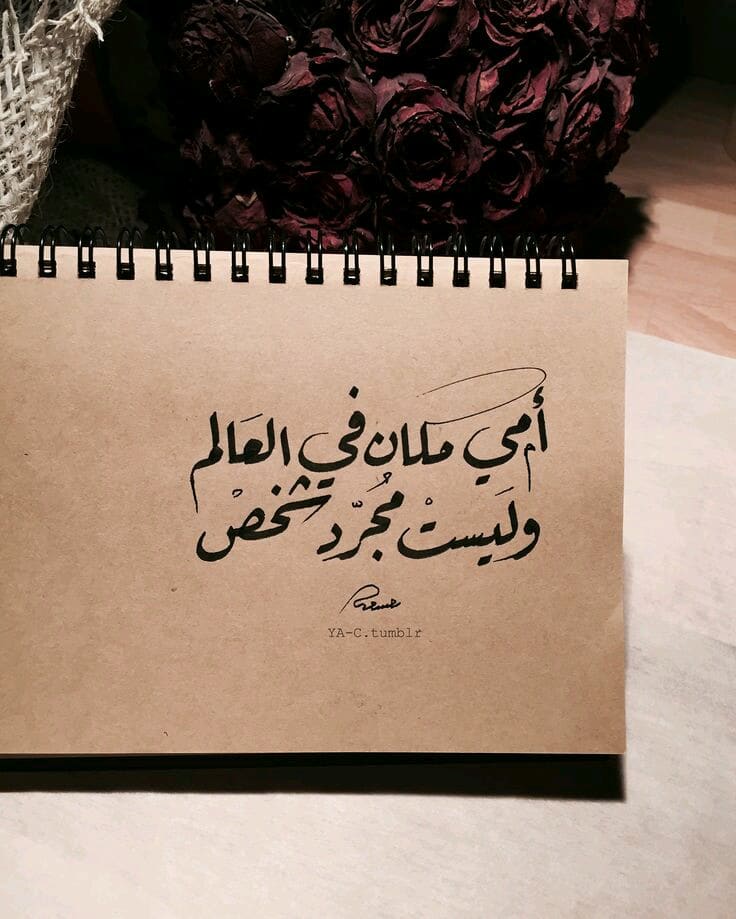شعر للمتنبي عن الأم