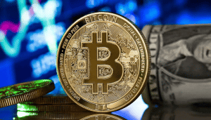 افضل شركات تداول البيتكوين