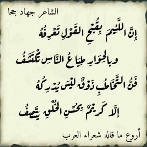 ابيات شعر ذم وشتم