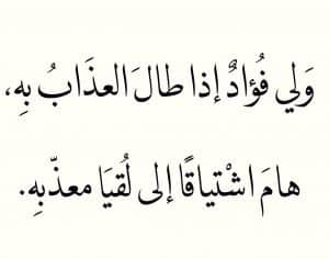 ابيات شعر ذكية