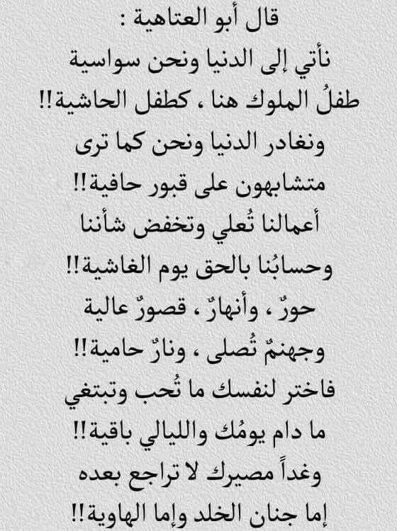 أجمل أبيات الشعر الجاهلي في الحكمة