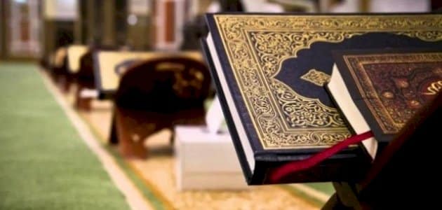 شعر يا حافظ القرآن